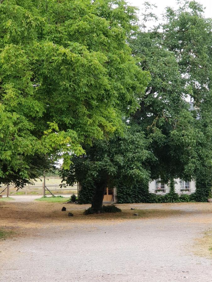 La Tilia Acomodação com café da manhã Saint-Riquier Exterior foto